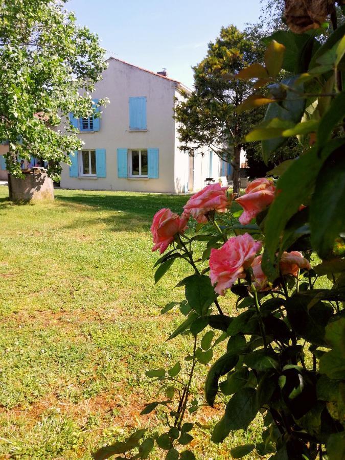 Gîte dans une ambiance végétale avec Spa privatif Jazennes Exterior foto